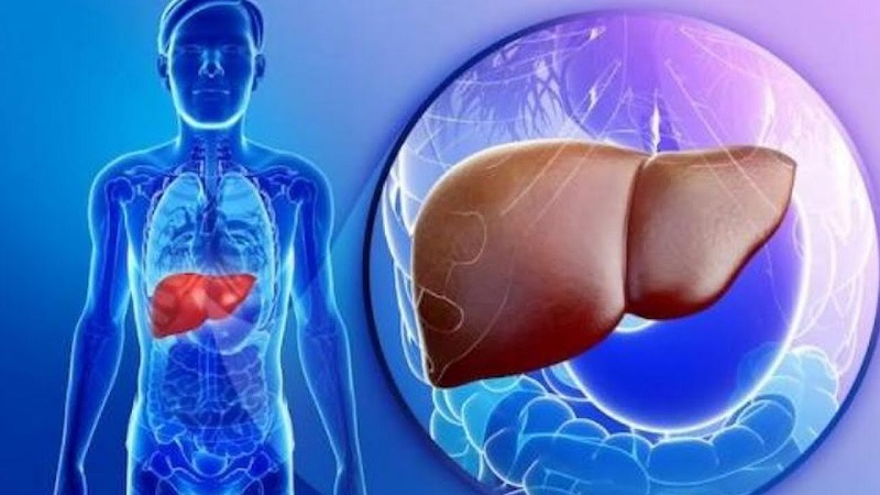 5 Phương Pháp Dễ Dàng và Tiết Kiệm Để Bảo Vệ Gan và Thận Mỗi Ngày